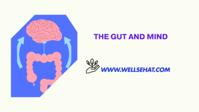 The Gut-Brain Connection How Your Microbiome Affects Mental Health